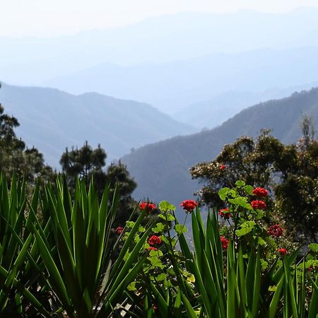 San Jose Del Pacifico- Cabanas Camino Al Cielo 3 Eksteriør bilde