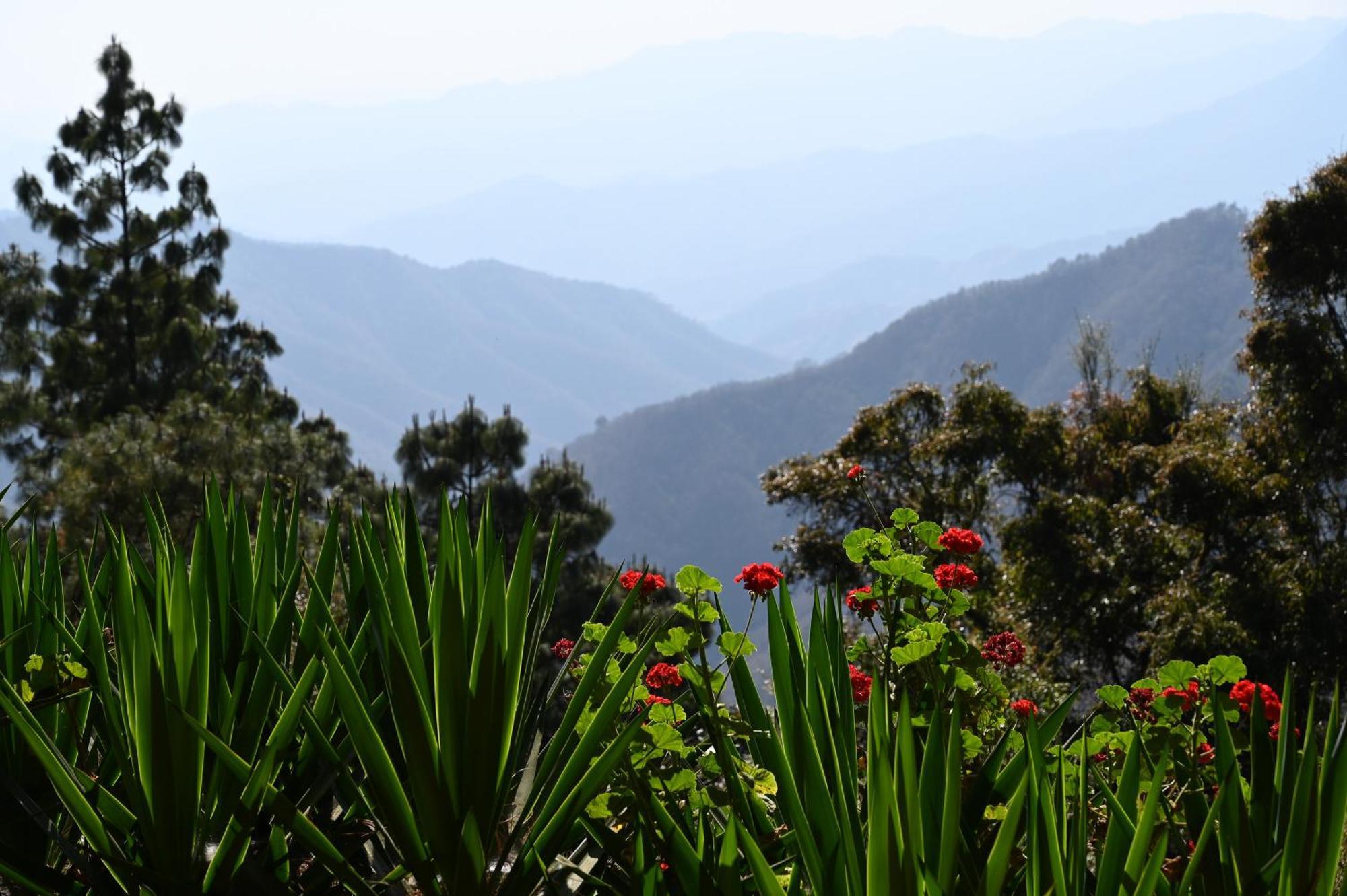 San Jose Del Pacifico- Cabanas Camino Al Cielo 3 Eksteriør bilde